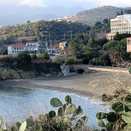 Les Pieds Dans L'Eau Apartment Banyuls-sur-Mer Bagian luar foto