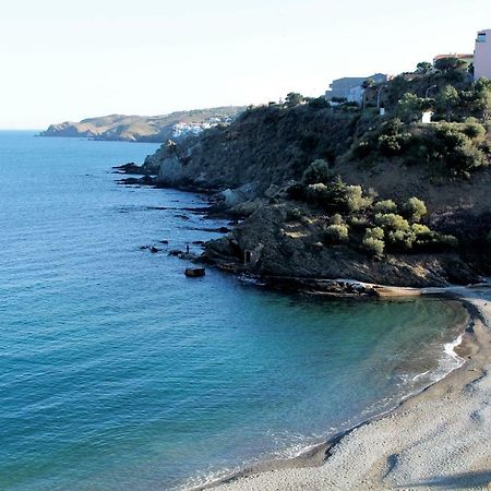 Les Pieds Dans L'Eau Apartment Banyuls-sur-Mer Bagian luar foto