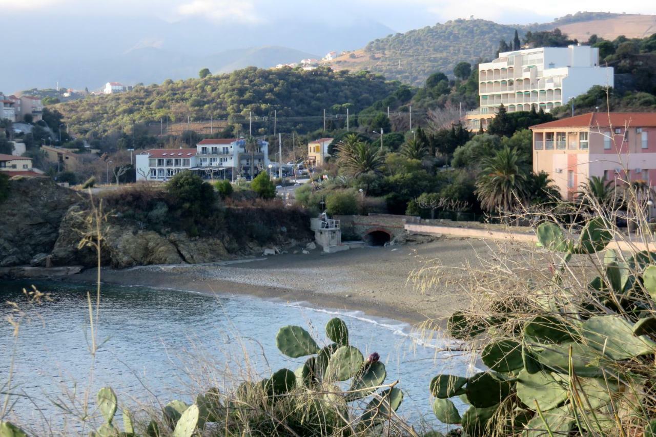 Les Pieds Dans L'Eau Apartment Banyuls-sur-Mer Bagian luar foto