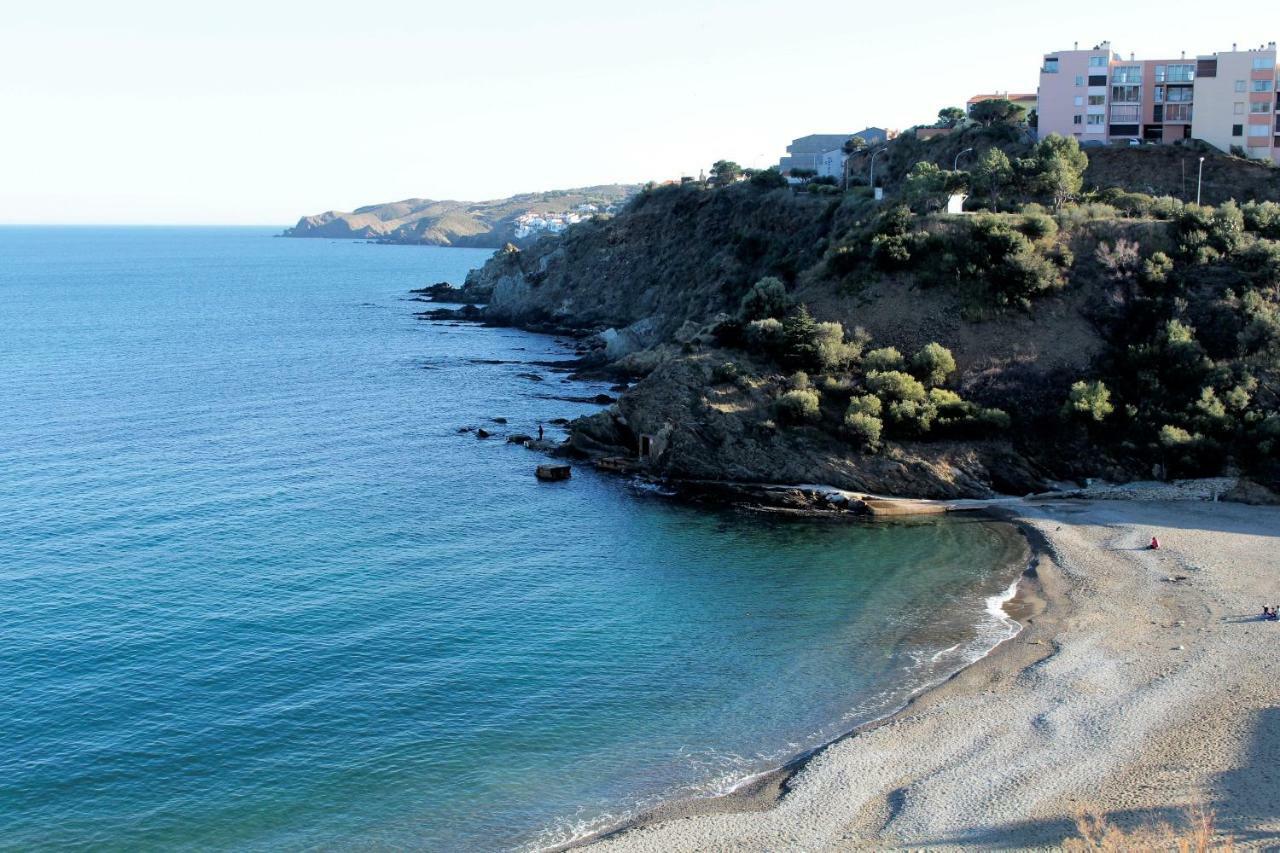 Les Pieds Dans L'Eau Apartment Banyuls-sur-Mer Bagian luar foto